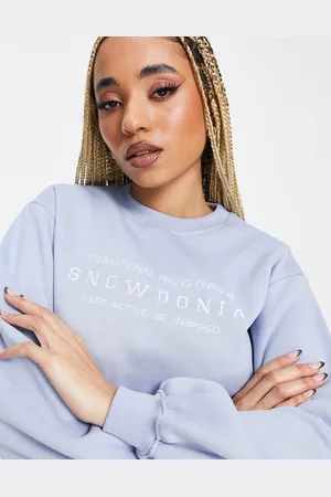 Threadbare Fitness Dixie embroidered sweater in pale