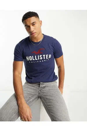 Hollister tech logo t-shirt in light blue