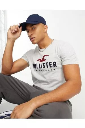 Buy Hollister T-shirts online - | FASHIOLA.in
