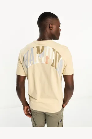 Champion Rochester city explorer t-shirt with back logo in beige