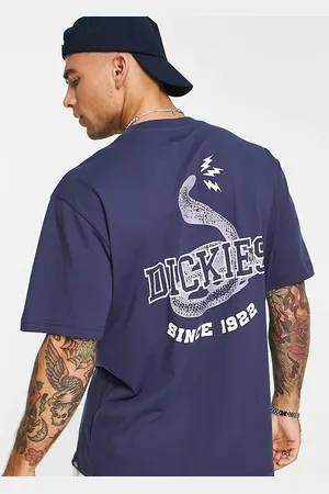 Dickies Cascade locks snake back print t-shirt in - Exclusive to Asos