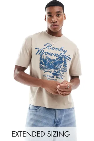 ASOS Boxy relaxed t-shirt in with mountain front print in beige