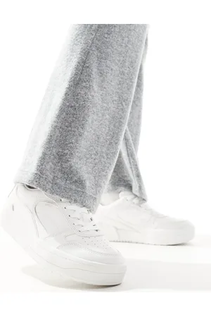 Stradivarius Trainer in