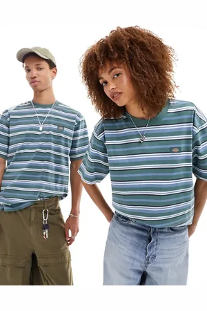 Dickies Glade spring striped t-shirt in