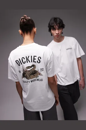 Dickies Snake graphic back print t-shirt in