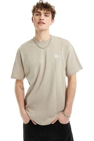 Dickies Summerdale short sleeve t-shirt in sand
