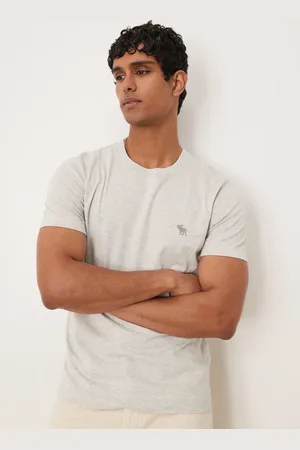 Abercrombie & Fitch Slim fit icon t-shirt in