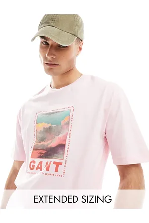 GANT Washed front cloud logo print t-shirt relaxed fit in