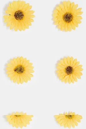 DesignB London Pack of 6 sunflower hair clips
