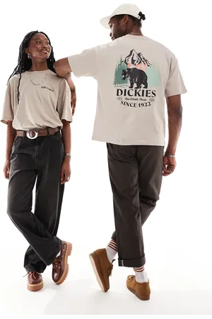 Dickies Bloxom back print t-shirt in sand- exclusive to asos