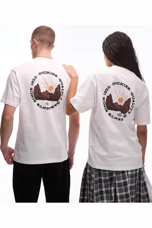 Dickies Outdoor graphic back print t-shirt in off