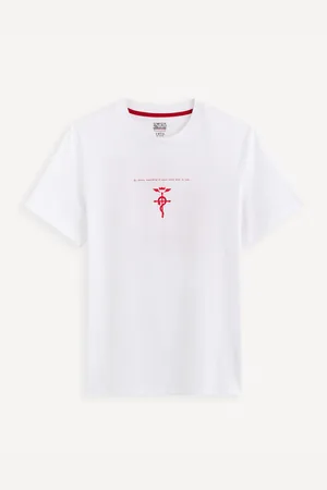 Celio Full Metal Alchemist