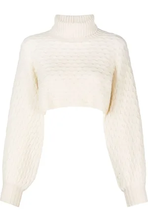 Fabiana Filippi Roll-neck cashmere cropped jumper