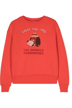 The Animals Observatory Bear cotton sweatshirt