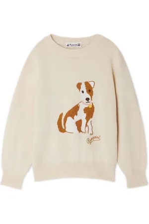BONPOINT Knit dog sweater