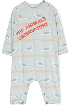 The Animals Observatory Owl seagulls-print shorties