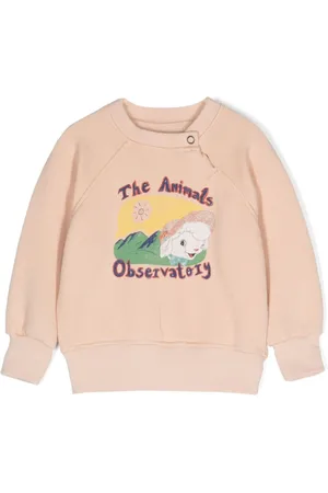 The Animals Observatory Jackal graphic-print sweatshirt