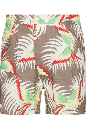 BODE Sun Conure Boxers in Brown