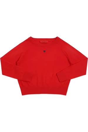 Max&Co. Embroidered Wool Knit Sweater