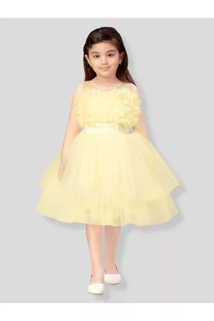 Aarika Girls Fit and Flare Net Dress