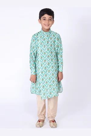 TABARD Boys Mandarin Collar Ethnic Motifs Printed Pure Cotton Kurta