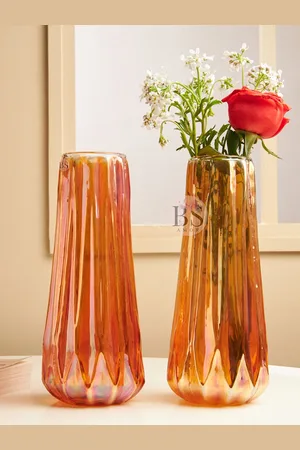 BS AMOR Modern Orange-Colored 2-Pcs Textured Large Glass Flower Vases