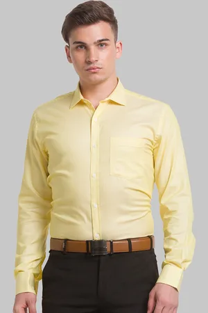 Park Avenue Men Micro Checked Slim Fit Formal Cotton Shirt