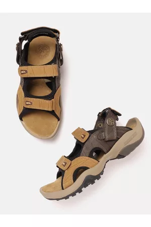 Woodland Sandals - Buy Woodland Sandal for Men & Women Online