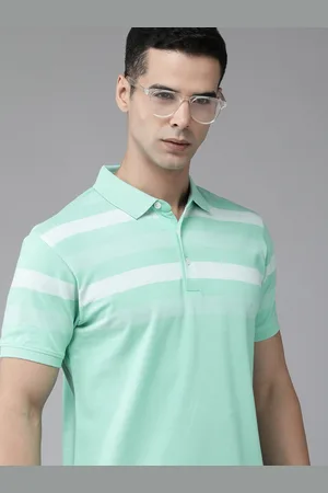 Park Avenue Striped Pure Cotton Slim Fit Polo T-shirt