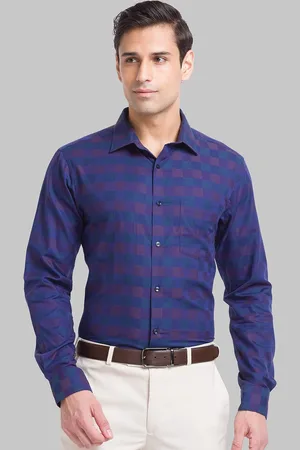Park Avenue Slim Fit Checked Pure Cotton Formal Shirt