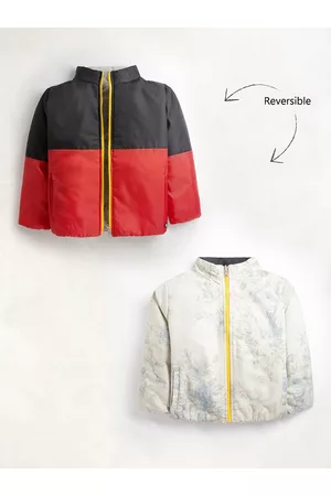 Cherry Crumble Boys Multicoloured Colourblocked Reversible Crop Sporty Jacket
