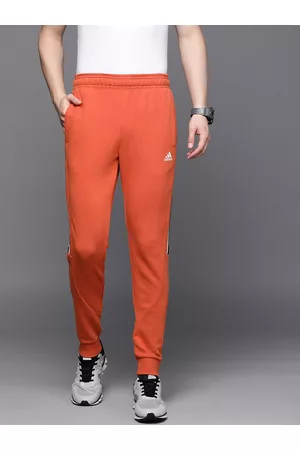Solid Men Track Pants with Orange Strip at Best Price in India   Healthkartcom