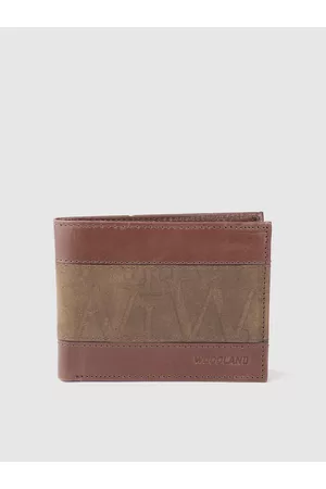 Buy Woodland Men Brown Genuine Leather Wallet - Wallets for Men 1464448 |  Myntra