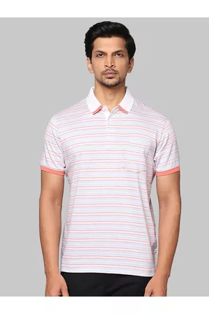 Park Avenue Men Grey Striped Polo Collar Slim Fit T-shirt