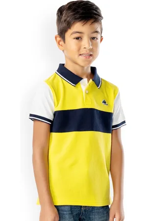 Cherry Crumble Boys Multicolor Colourblocked Rising Polo T-shirt