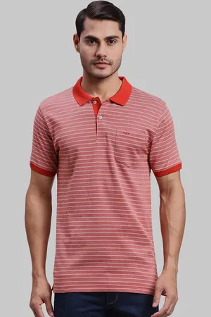 ColorPlus Striped Polo Collar Cotton T-shirt