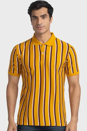 ColorPlus Striped Polo Collar Pure Cotton Slim Fit T-Shirt