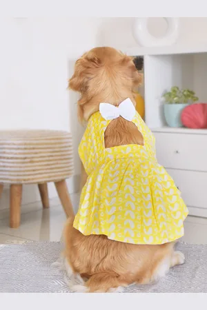 Vastramay Chikankari Embroidered Pure Cotton Dog Dress