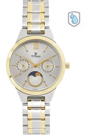 Titan Workwear Women Silver Analogue watch NL2590BM01