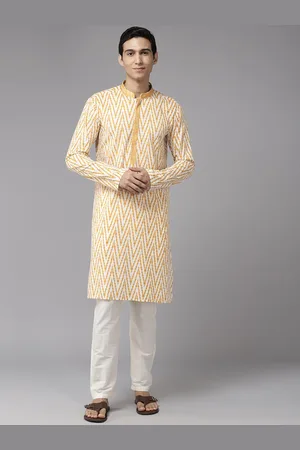 See Designs Ethnic Motifs Printed Mandarin Collar Thread Work Straight Cotton Kurta