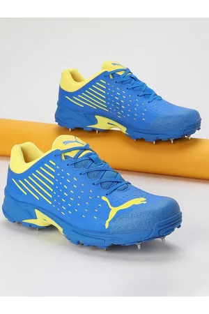 PUMA Unisex Spike 22.2 Cricket Shoes