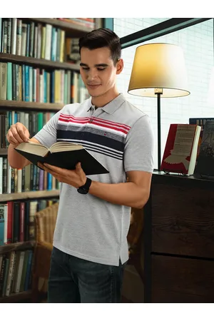 Louis Philippe Men Grey & Navy Blue Striped Polo Collar T-shirt