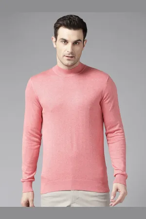Blackberrys High Neck Long Sleeves Regular Pullover