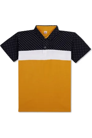 BAESD Boys Colourblocked Polo Collar Regular Fit Casual T-shirt