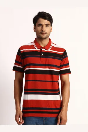 ColorPlus Striped Polo Collar Cotton T-shirt