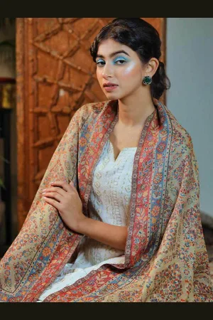 Sangria Beige Ethnic Motifs Woven Design Shawl