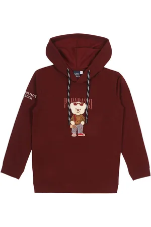 CAVIO Boys Graphic Printed Hooded Cotton Pullover