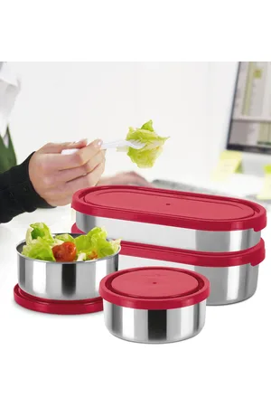 Buy Milton Nutri 320ml 2 Pcs Container Stainless Steel Red