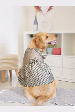 Vastramay Printed Peter Pan Collar Tiered Dog Dress