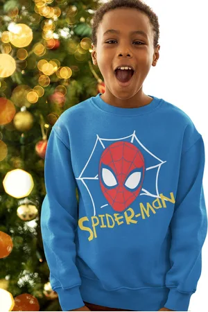 Kinsey Boys Spiderman Printed Sweatshirt